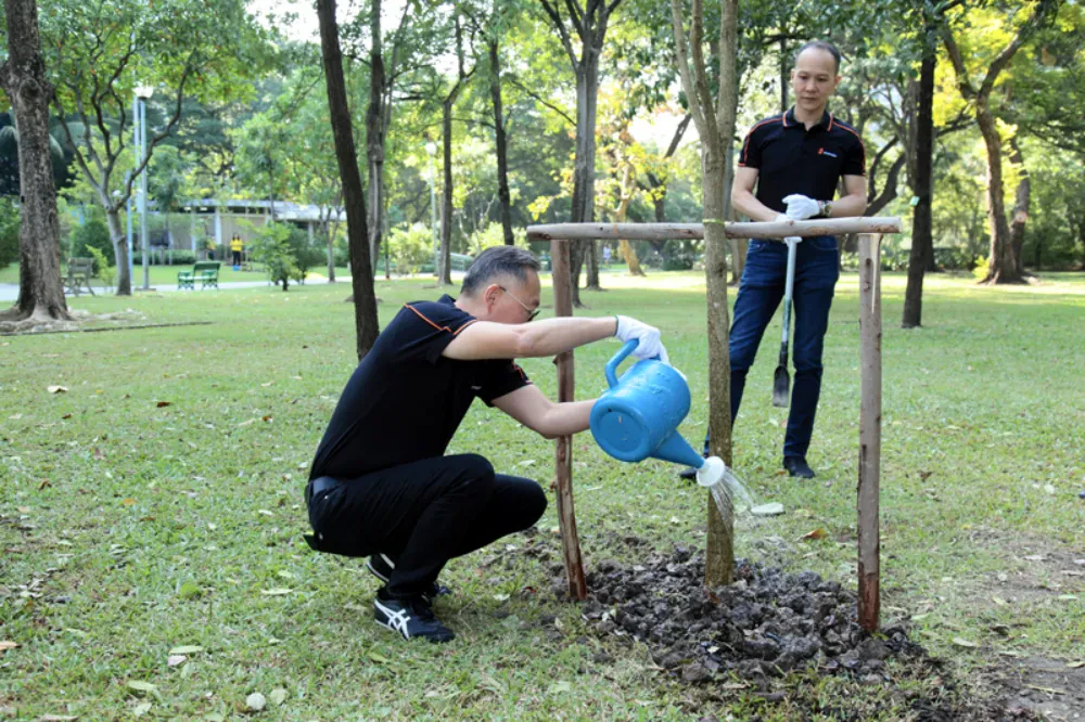 Change carbon dioxide to oxygen for the good breath in our community