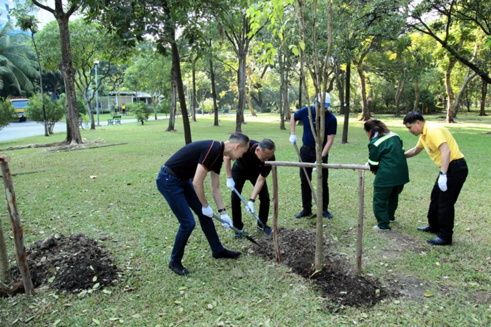 Change carbon dioxide to oxygen for the good breath in our community